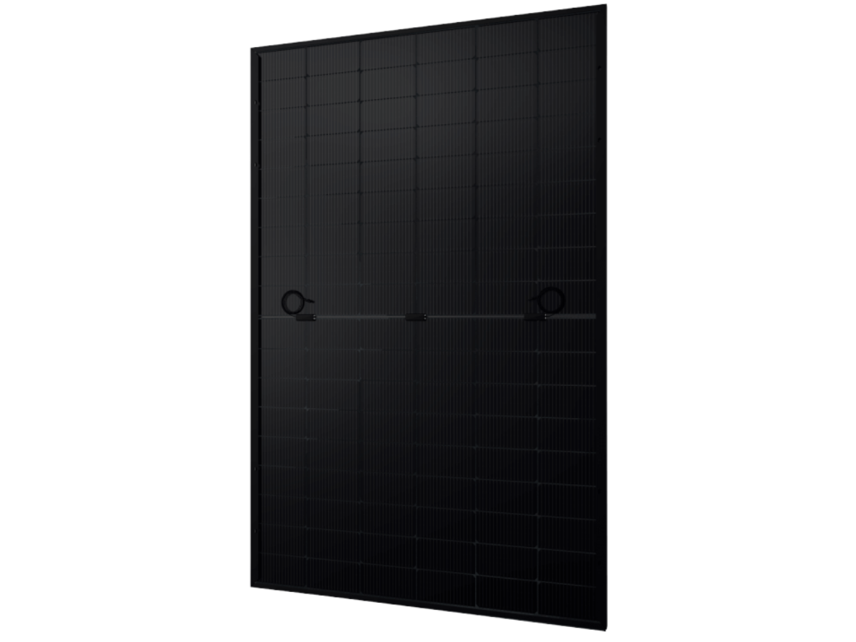 Jolywood 445 Watt Glas Glas Modul Rückseite, bifazial, Full-Black, Monokristallin 